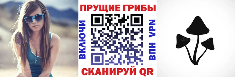 Псилоцибиновые грибы Magic Shrooms  blacksprut   Новокубанск 