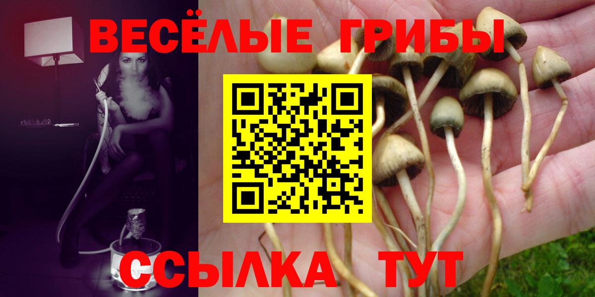 Псилоцибиновые грибы ЛСД Новокубанск